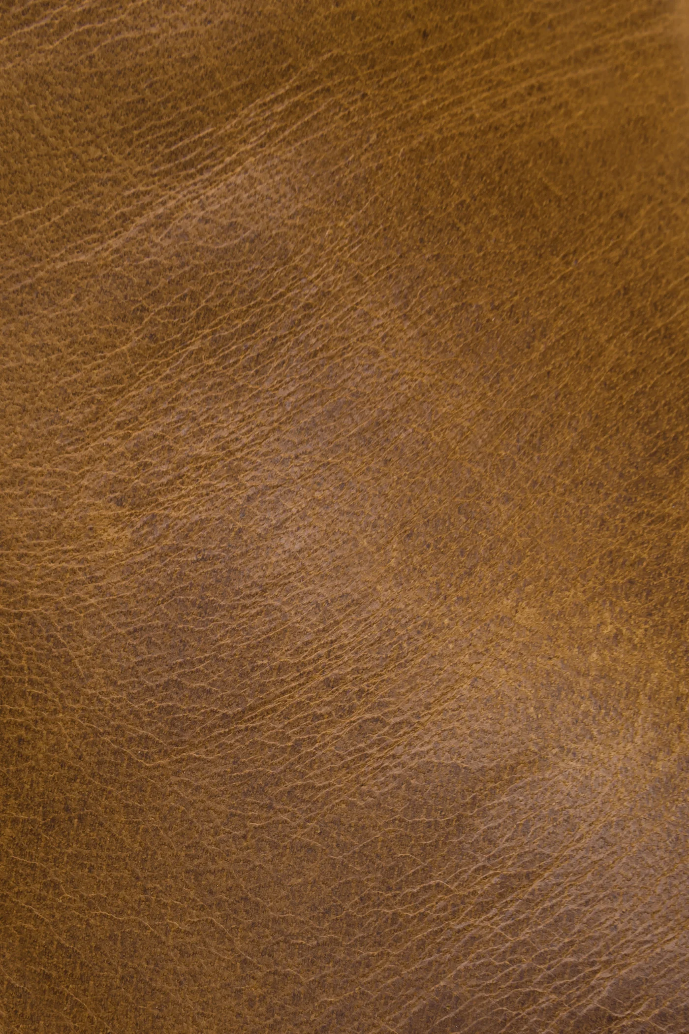 Lewis Leather Venetian - Pre-Loved - Image 3