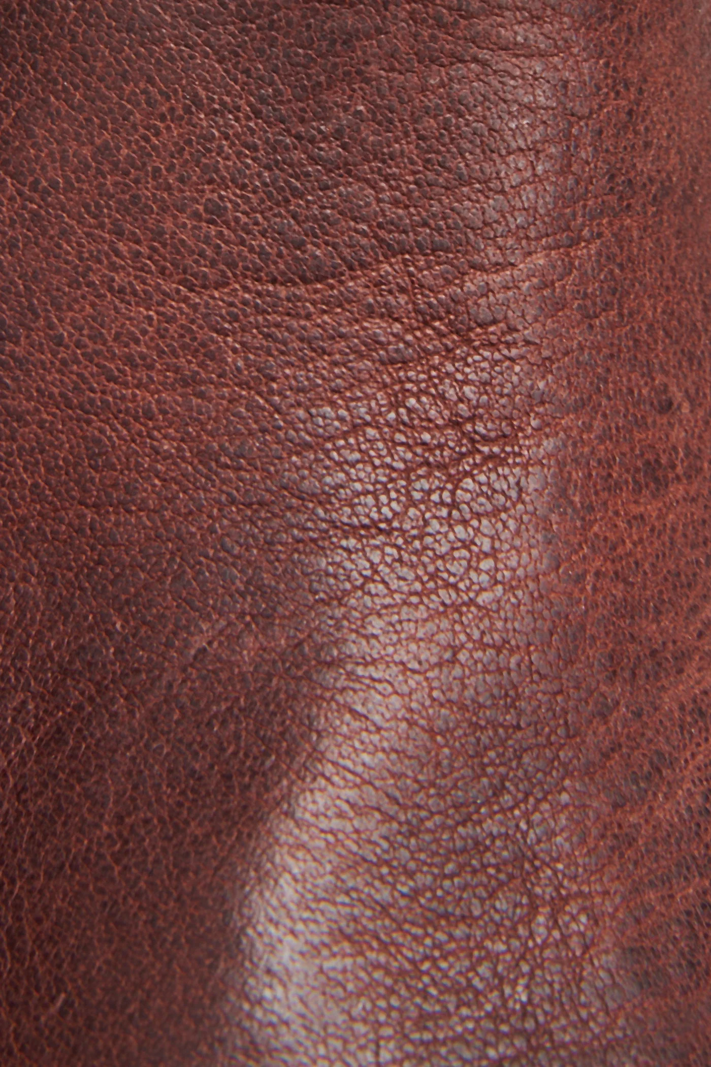 Veronica Bootie - Frye Found - Image 6